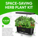 sedz-hydroponics-growing-system-indoor-hydroponic-garden-with-nutrients-grow-sponges-grow-plants-up-to-3425-smart-flower-herb-garden-easy-gardening-system-elegant-hydroponic-kit-%e2%80%93-b-image